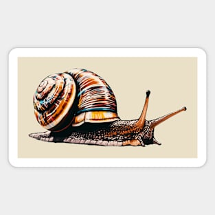 Stylish Snail Magnet